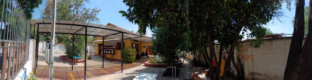 WhatsApp Image 2025-11-25 at 9.01.00 AM