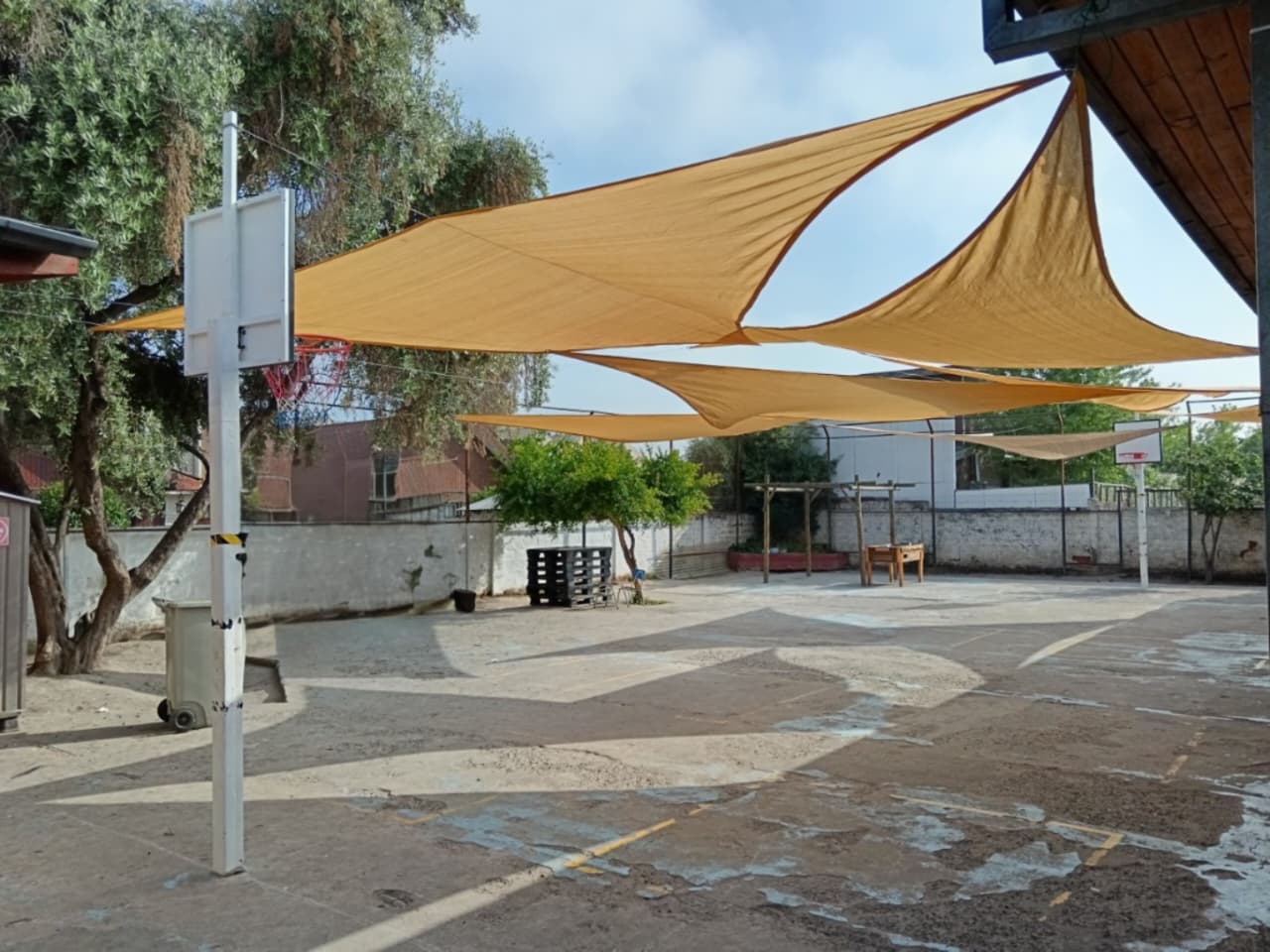 WhatsApp Image 2025-11-25 at 9.10.03 AM